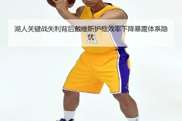 湖人关键战失利背后戴维斯护框效率下降暴露体系隐忧